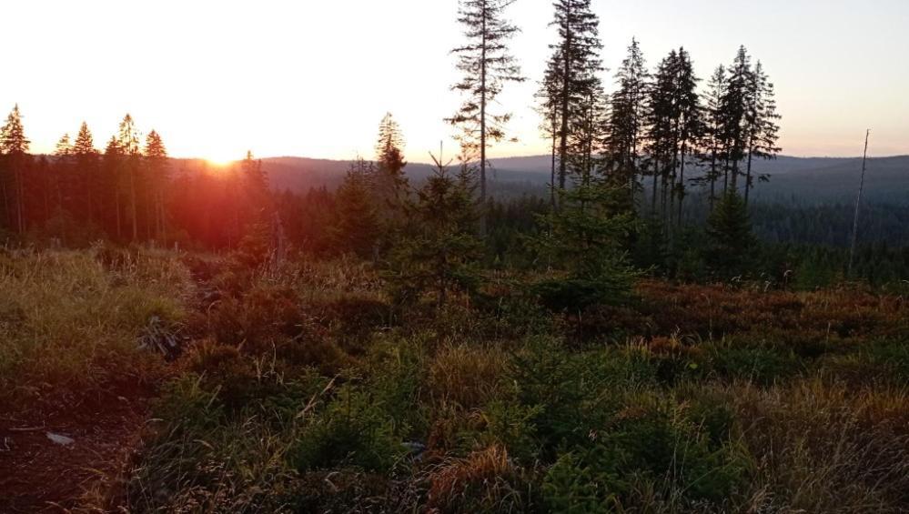 Ubytovani U Krizku Modrava Eksteriør bilde